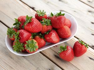 Supporting image for story: British strawberries delayed but will be ‘worth the wait’, say producers