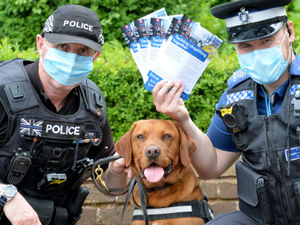 Supporting image for story: ShopCop police project to cut crime in Stourport