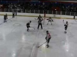 Supporting image for story: Peterborough Phantoms v Telford Tigers