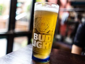 Supporting image for story: AB InBev sales grow but Bud Light boycott continues to drag on US arm