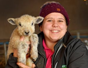 Farm manager Alex Dunn with one of the new lambs.