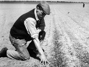 Supporting image for story: Upton Magna farm picture stirs Eric's memories of family roots