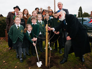 Supporting image for story: Primary pupils in Shropshire plant cherry tree as symbol of 'unity and hope' for Holocaust Memorial Day