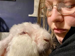 Supporting image for story: Appeal for dumped bunny as its skin condition goes 'out of control'