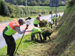 Supporting image for story: Volunteers spruce up main entrance into town