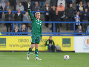 Supporting image for story: Shot-stopper Max Bramley loving loan spell at AFC Telford