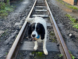 Supporting image for story: Billy saves the day for Santa in heartwarming video 