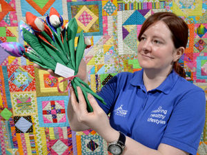 Supporting image for story: New exhibition at Museum of Cannock Chase