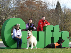 Supporting image for story: Go barking mad, Crufts is back!
