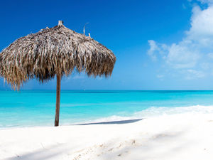 Supporting image for story: Peter Rhodes on naming lorries, rhyming with the seasons and why quick arrests tell a grim story