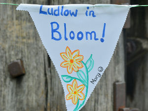 Supporting image for story: Council insists Ludlow is still beautiful after town not put forward for Britain in Bloom