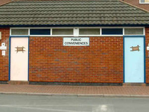 Supporting image for story: Libraries could be used to help plug public toilet gap