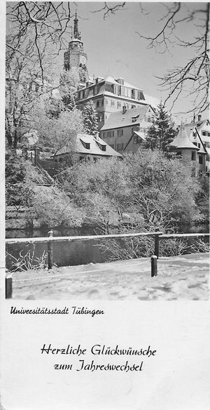 The festive scene from the university town of Tubingen.