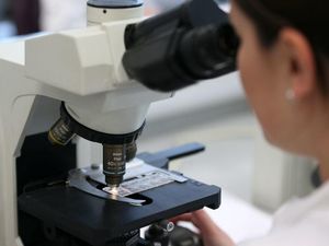 Supporting image for story: Further research into heartburn drug as potential Covid-19 therapy sought