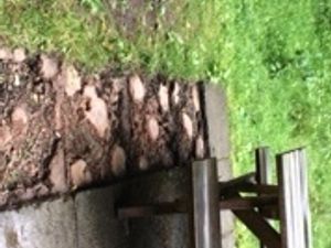 Supporting image for story: Vandalism at a Shropshire beauty spot condemned by group