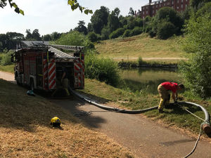 Supporting image for story: 20,000 litres of water from River Severn pumped into Shrewsbury's Dingle to save fish