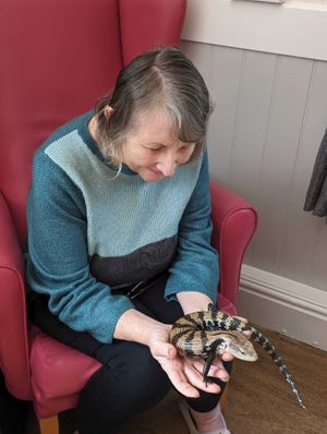 Resident Elaine meeting a lizard