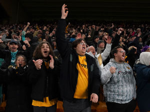 Supporting image for story: Wolves bow to fan pressure following huge season ticket price hikes