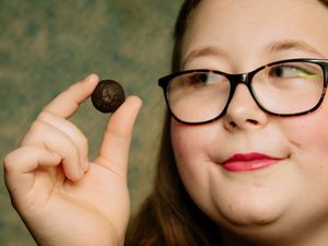 Supporting image for story: Mysterious appearance of a cannonball 