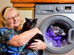 Supporting image for story: 'It's a miracle': Cat survives 30-minute washing machine cycle after being given mouth to mouth by owner - with VIDEO