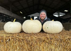 Farmer Roger Cooke can't wait to welcome residents to Pumpkins and Alpacas at Tunstall Farm Park