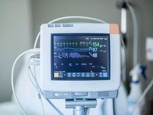 Supporting image for story: ‘Heart rate’ meme has Twitter users confessing what makes their pulse race