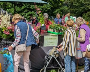 Summer Plant Hunters' Fair at Whittington Castle 