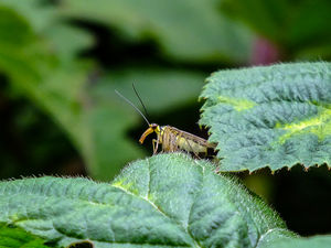 Supporting image for story: Neal brings his camera back out for the summer