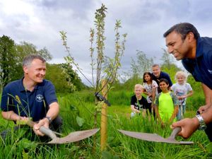 Supporting image for story: £500 donation to help replant trees attacked by vandals