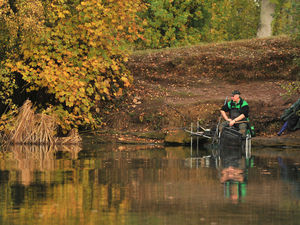 Supporting image for story: Dave makes Shaw of a home 1-2-3