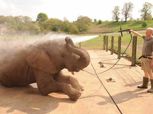 Supporting image for story: Sunshine and showers for Five