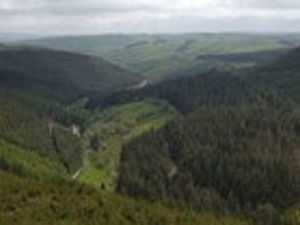 Supporting image for story: Extensions to Welsh forests underway