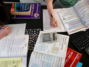 Supporting image for story: Majority of women say well-being negatively affected by home-schooling