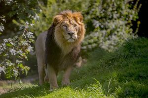 Supporting image for story