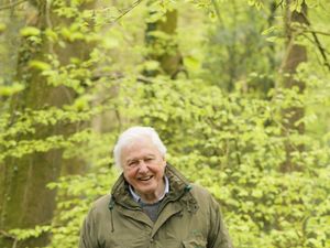 Supporting image for story: First look at David Attenborough’s Secret World Of Sound TV series