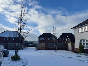 Snow in Priorslee. Photo: Daniela Matos