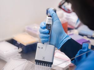 Supporting image for story