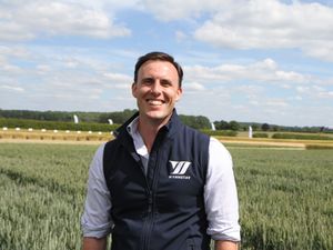 Supporting image for story: Farming talk: Wheat growers to be spoilt for choice this autumn