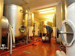 Supporting image for story: Independent breweries seeking more government support