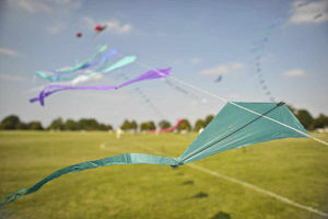 Supporting image for story: £56,000 grant ensures events galore for Telford