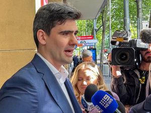 Supporting image for story: Nazi salute will earn ‘modest term of imprisonment’