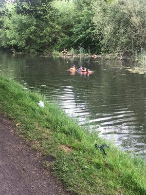 Police have been searching the canal near Mission Drive, Tipton