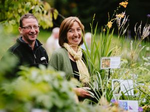 Supporting image for story: Plant hunters paradise at Market Drayton charity garden