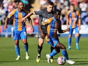 Supporting image for story: Shrewsbury 0 Charlton 1 - Report