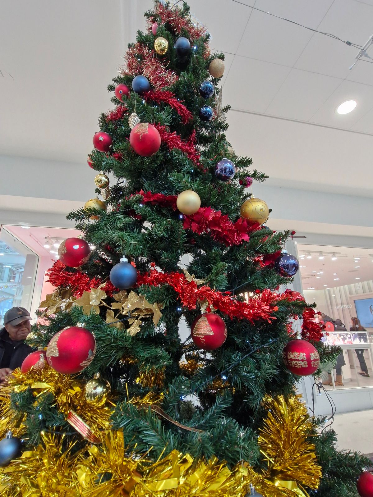 Watch: Mayor of Wolverhampton unveils annual Rotary Tree of Remembrance to mark start of festive season Watch: Mayor of Wolverhampton unveils annual Rotary Tree of Remembrance to mark start of festive season