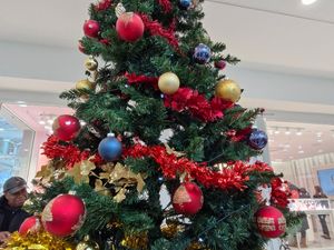 Supporting image for story: Watch: Mayor of Wolverhampton unveils annual Rotary Tree of Remembrance to mark start of festive season