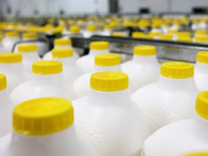 Supporting image for story: ‘We are calling time on cheap milk’, says Arla boss as farmers’ costs soar