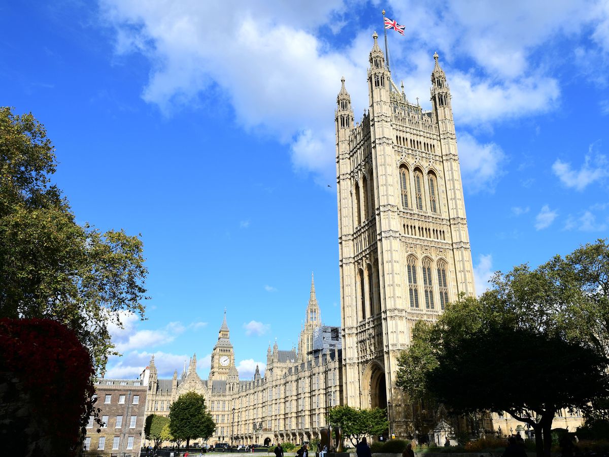 Cats ruled out for parliamentary pest patrols over welfare concerns