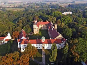 Supporting image for story: Polish town invites Elon Musk to buy castle for European headquarters