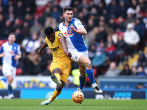 Supporting image for story: Wolves boss backs new signing to bring the goals